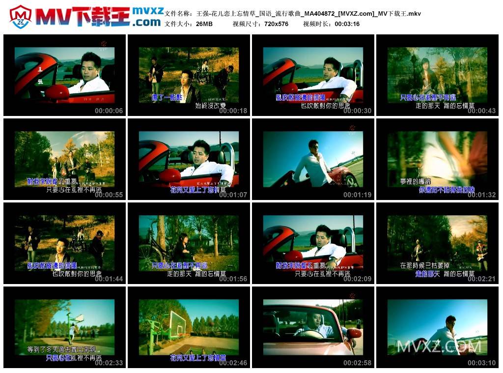 王强-花儿恋上忘情草_国语_流行歌曲_MA404872